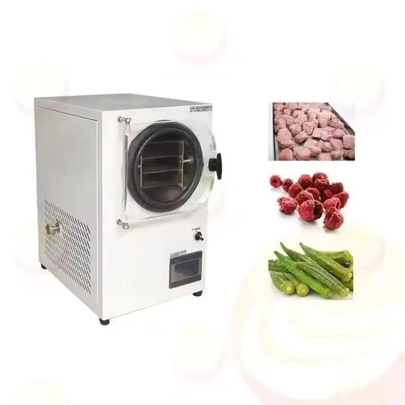 Freeze Drying Machine Small Va - Vacuum Chamber Small review and price