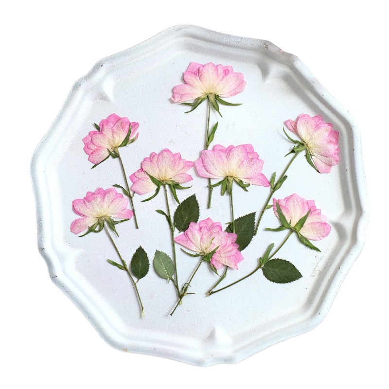 12pcs,Real Dried Pressed Flowe - Resin Craft Ideas review and price